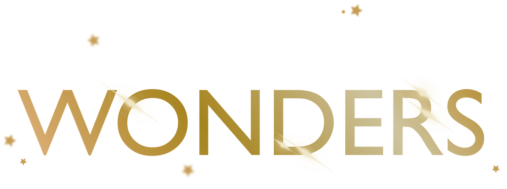 One Night Wonders are back!