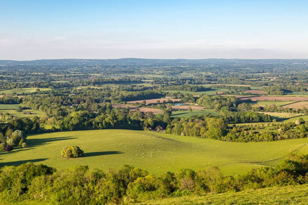 Scenic view of rolling green hills and countryside at Old Thorns golf and leisure resort. Perfect fo.